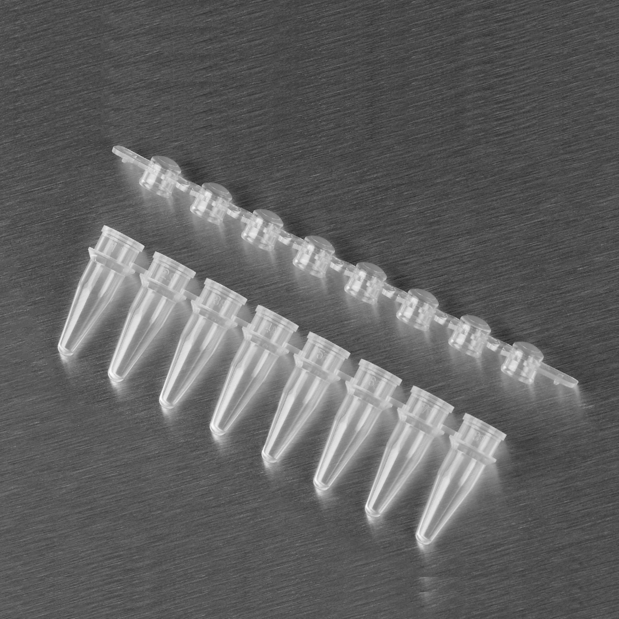  Dải ống PCR và nắp 