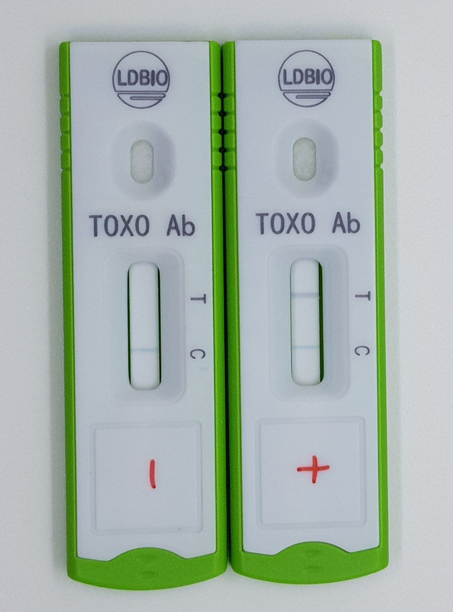  TOXOPLASMA ICT IgG-IgM 