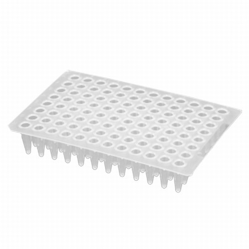  Vi đĩa PCR 96 giếng Axygen 