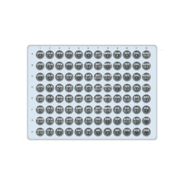  Khay kháng sinh đồ cho Haemophillus influenzae và Streptoccus pneumoniae 