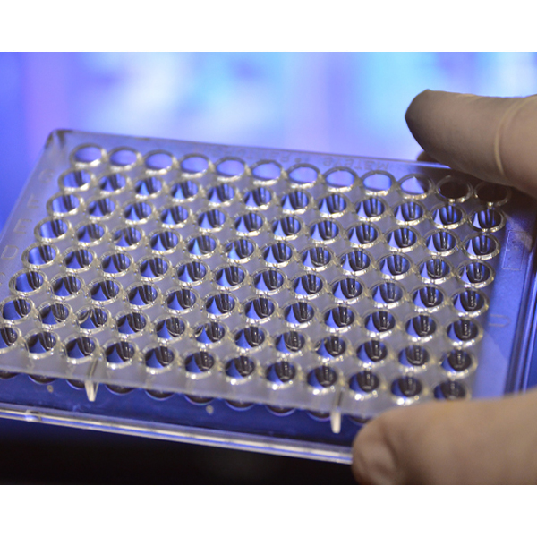 Khay phân tích nội độc tố Pyroclear Pyroplate – Công ty TNHH Thiết bị ...