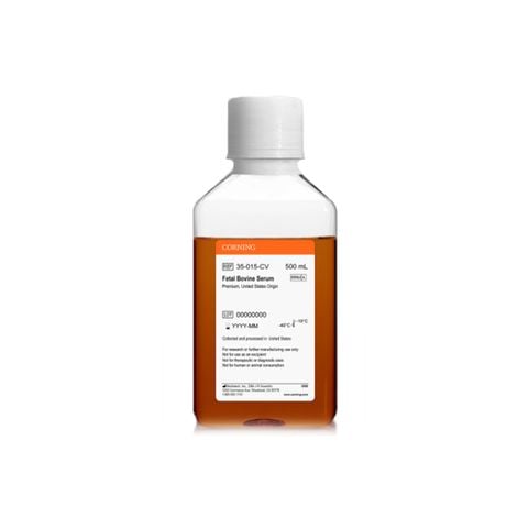  Corning™ Premium Fetal Bovine Serum 