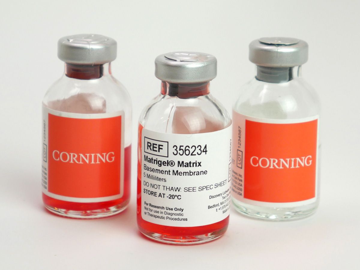  Corning® Matrigel® Matrix 