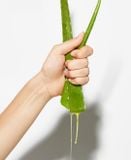  Sữa rửa mặt Soothing & Moisture Aloe Vera Foam Cleanser 150ml 