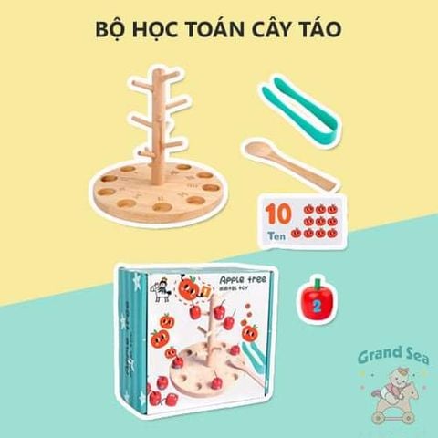 BỘ HỌC TOÁN CÂY TÁO THEO PP MONTESSORI