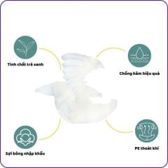 TÃ DÁN NGƯỜI LỚN KISSME SIZE M - VÒNG BỤNG 60-105CM