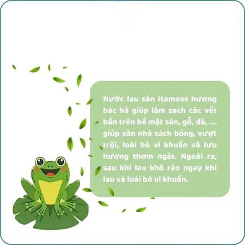 Nước lau sàn ITAMOSS hương Bạc Hà can 1kg
