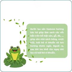 Nước lau sàn ITAMOSS hương Bạc Hà can 1kg