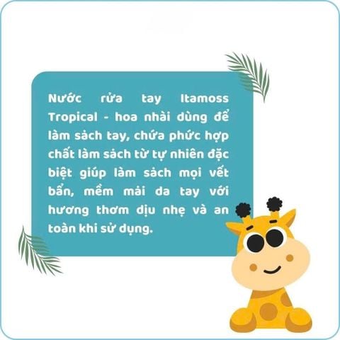 NƯỚC RỬA TAY ITAMOSS TROPICAL 500G - HƯƠNG HOA NHIỆT ĐỚI