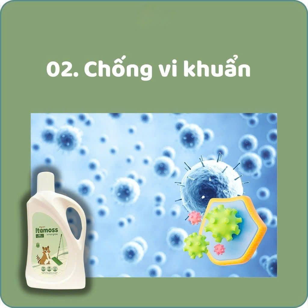 Nước lau sàn ITAMOSS hương SẢ can 1kg