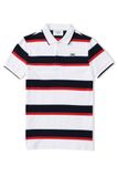  POLO NAM 8818 