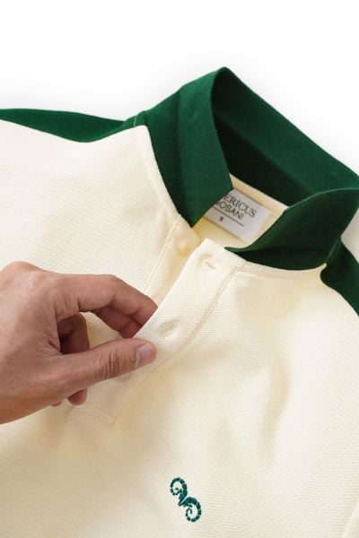  POLO NAM 8687 - KEM VAI RÊU 