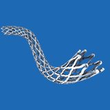 Khung giá đỡ mạch vành phủ thuốc (Stent Koronar)