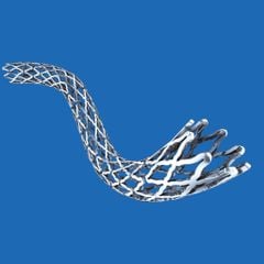 Khung giá đỡ mạch vành phủ thuốc (Stent Koronar)