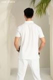  Áo polo - cổ ép trơn 250423 