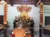 cuonthucaudoidongvang176cmxuongtranhdong