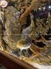 tranhngocduongphuquybangdongvangdatvangbackhungduckichthuoc170cmx90cmxuongtranhdong