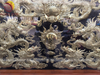 tranhcuulongtranhchaudongvangkichthuoc81x155cmkhunggodoi