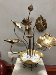 chau hoa sen 10 canh dong vang gia co xuong tranh dong