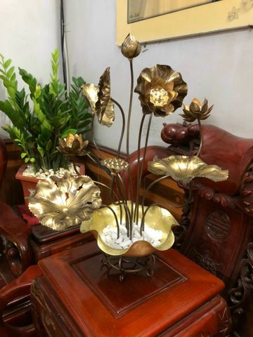 Chậu Hoa Sen