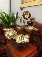 chau hoa sen 10 canh dong vang xuong tranh dong