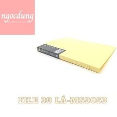 GUANGBO-NVP6: File 30 lá màu GB9053 (12c/h, 72c/thùng) GUANGBO