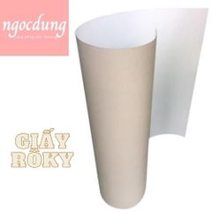 NHAYEN-NGS7: GIẤY ROKY