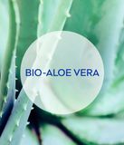  Kem nhả nắng Nivea After sun lô hội, chai 250ml 