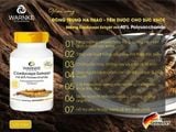  Đông trùng hạ thảo Warnke lọ 120 viên 