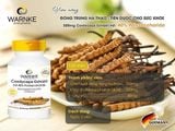 Đông trùng hạ thảo Warnke lọ 120 viên 