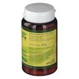  Sụn vi cá mập Allcura Haifischknorpel Konzentrat Kapseln, 90 Viên 