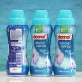  Viên xả thơm nước hoa Mystic Flower Domol, 210g 