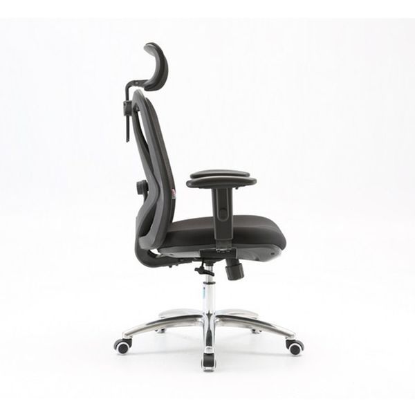 Ghế Công Thái Học Ergonomic Sihoo M18 Black