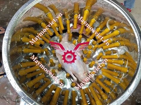Máy vặt lông gà, vịt cao cấp VinMax  ( loại buli đơn 1 rãnh)