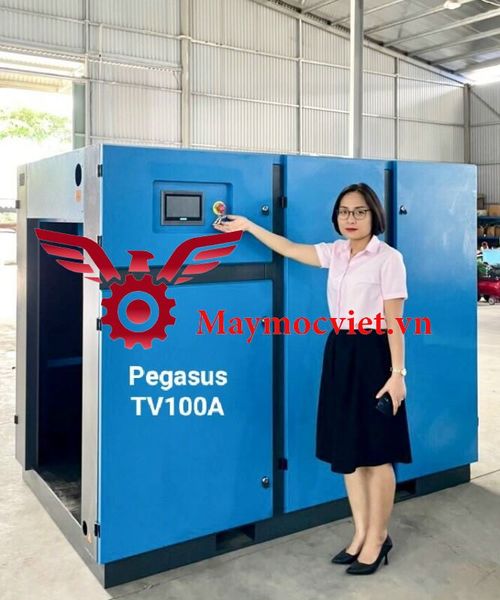 Máy nén khí biến tần Pegasus TMPM 100A Inverter