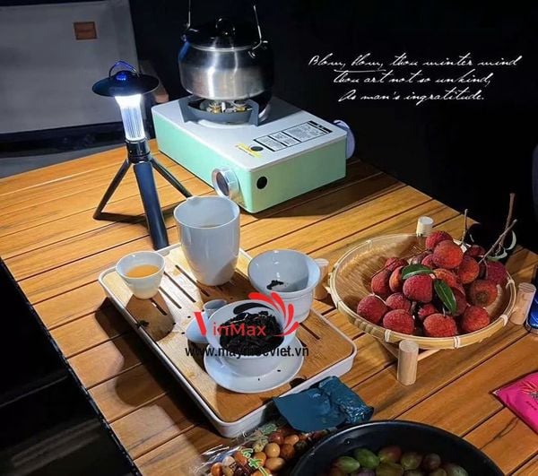 Bếp Gas Dã Ngoại 3 Đầu Đốt Vinmax VM3D