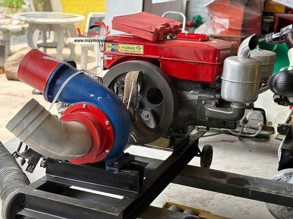Máy bơm nước đầu bơm Turbo phi 150 – Động cơ Dongphong D24