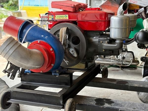 Máy bơm nước đầu bơm Turbo phi 150 – Động cơ Dongphong D24