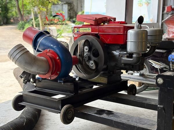Máy bơm nước đầu bơm Turbo phi 150 – Động cơ Dongphong D24