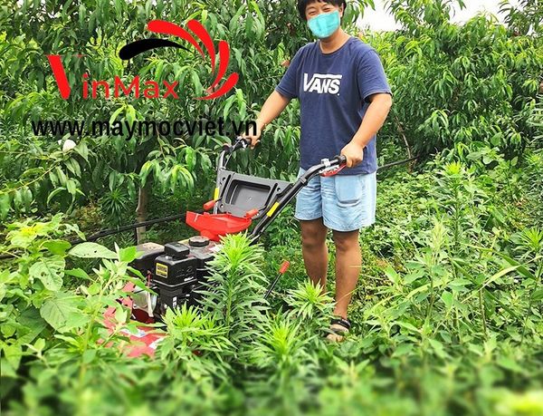 Máy cắt phát cỏ trục băm chạy xăng Kawasaki TBX60