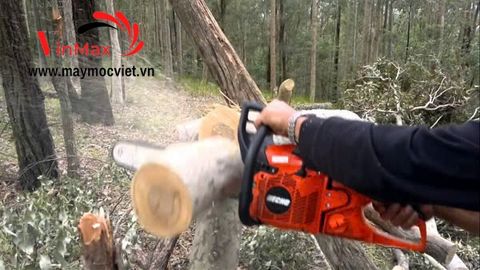 Máy cưa xích ECHO - CS600S - 59,8cc - (Chưa kèm LX)