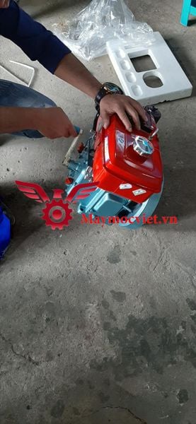 Đông cơ Diesel Đông Phong D4