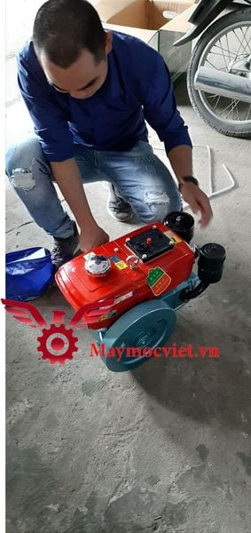 Đông cơ Diesel Đông Phong D4