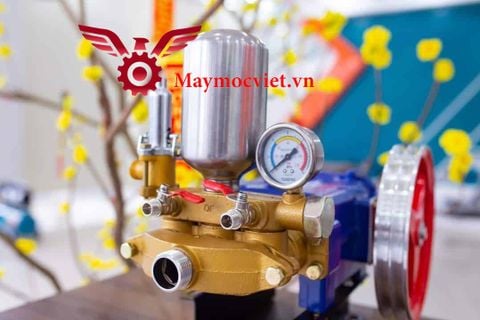 Đầu phun áp lực xịt rửa DW-1030S (PISTON SỨ )