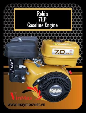 Máy Nổ – Động Cơ Xăng 7HP Robin RBN-EX21