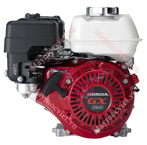 Động cơ xăng Honda GX120T3 QH