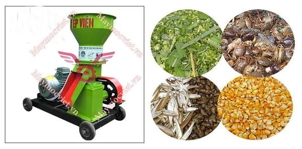 Máy ép cám viên trục đứng S200