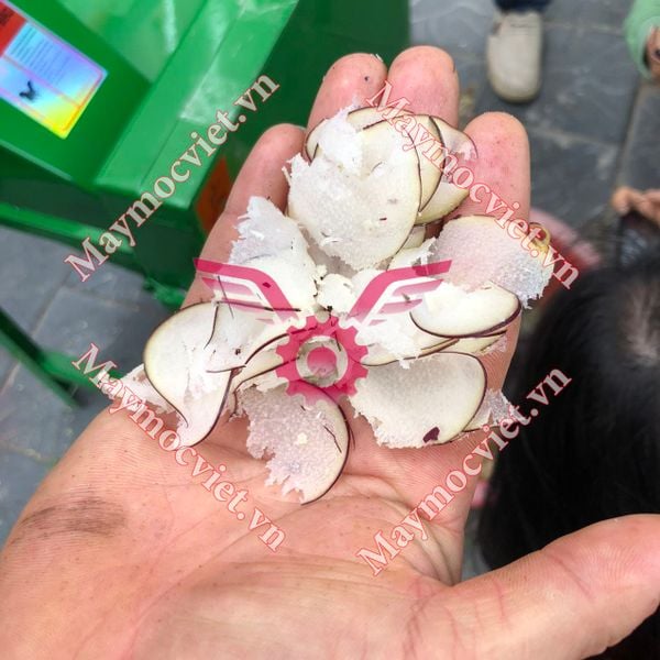 Lưỡi dao băm cỏ, thái chuối nhíp oto cao cấp khắc chữ Savimax