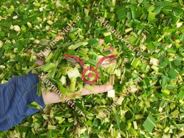 Máy băm cành cây MBC-DC75