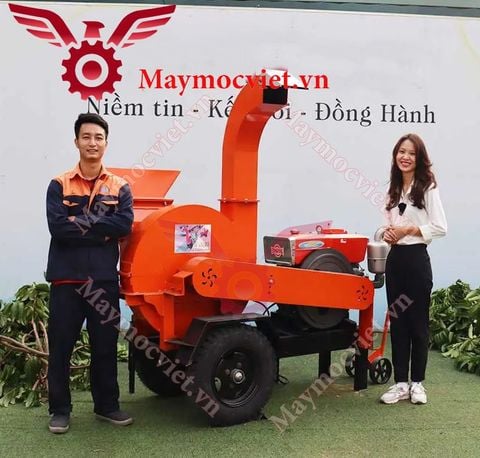 Máy băm cành cây di động đề điện 35hp Vinmax BCD35